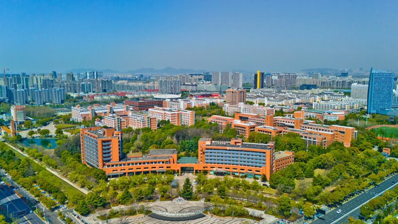 芯片尺寸规格：行业标准解析与选购要点